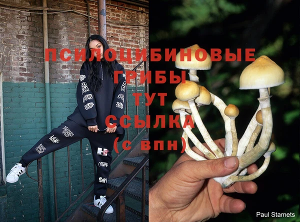 бутират Богданович