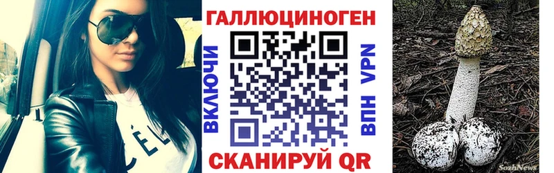 Купить где  Волосово  Псилоцибиновые грибы Psilocybine cubensis 